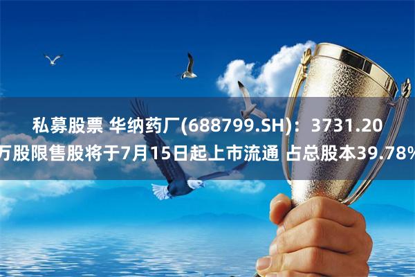 私募股票 华纳药厂(688799.SH)：3731.20万股限售股将于7月15日起上市流通 占总股本39.78%