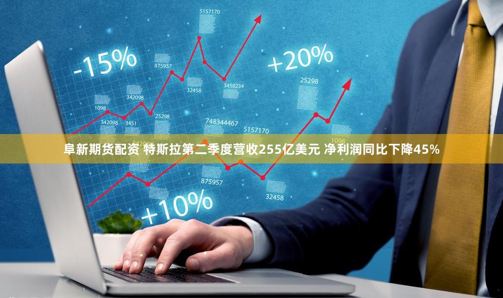 阜新期货配资 特斯拉第二季度营收255亿美元 净利润同比下降45%