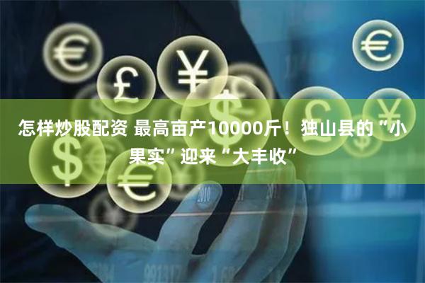 怎样炒股配资 最高亩产10000斤！独山县的“小果实”迎来“大丰收”