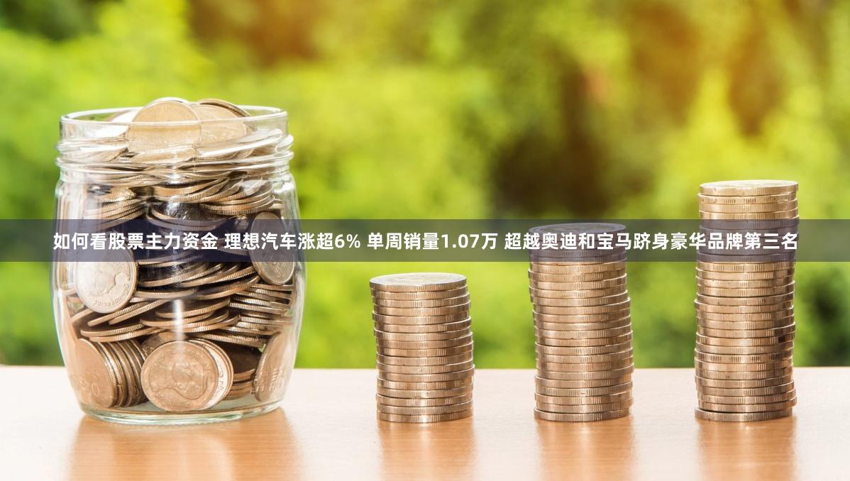 如何看股票主力资金 理想汽车涨超6% 单周销量1.07万 超越奥迪和宝马跻身豪华品牌第三名