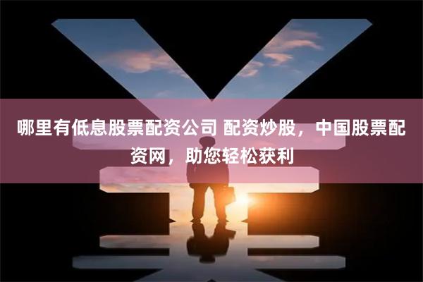 哪里有低息股票配资公司 配资炒股，中国股票配资网，助您轻松获利