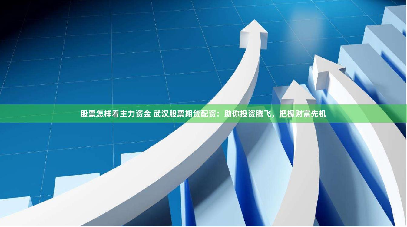 股票怎样看主力资金 武汉股票期货配资：助你投资腾飞，把握财富先机