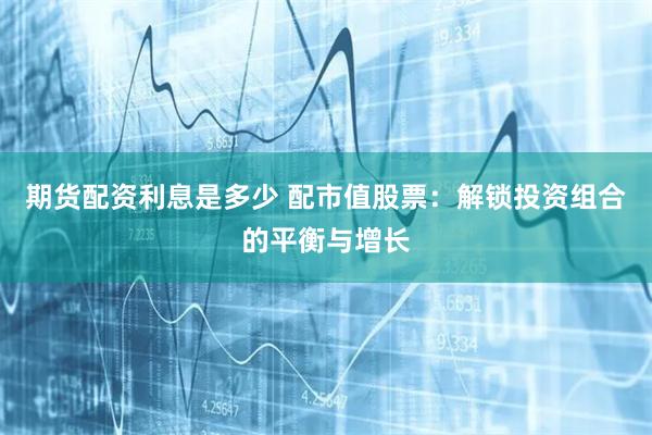 期货配资利息是多少 配市值股票：解锁投资组合的平衡与增长