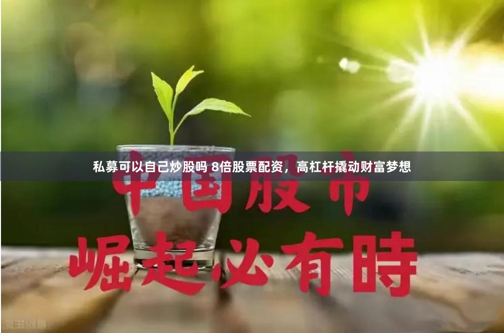 私募可以自己炒股吗 8倍股票配资，高杠杆撬动财富梦想